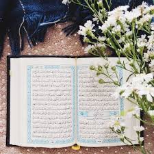 Pin By Nooori On Quran Pic In 2020 Online Quran Quran Education Foundation