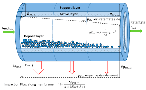 2018 when open for registration?need to apply but how? Foods Free Full Text Concentration Of Immunoglobulins In Microfiltration Permeates Of Skim Milk Impact Of Transmembrane Pressure And Temperature On The Igg Transmission Using Different Ceramic Membrane Types And Pore Sizes