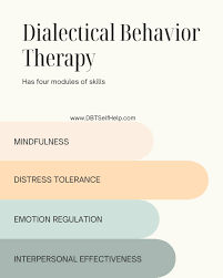 Image result for Dialectical Behavior Therapy