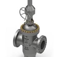 Expanding Gate Valve - RAYS Flow Control