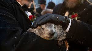 Groundhog Day 2020 Did Punxsutawney Phil See His Shadow