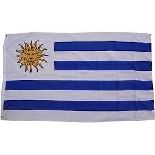 Argentinien und uruguay gehörten nach der unabhängigkeit 1810 nämlich zunächst zusammen. Xxl Flagge Uruguay 250 X 150 Cm Fahne Mit 3 Osen 100g M Stoffgewicht Online Kaufen Bei Netto