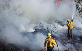 En una semana, méxico reporta 394 nuevos incendios forestales. Mexico Combate Una Temporada Atipica De Incendios En 20 Estados El Sol De Mexico Noticias Deportes Gossip Columnas