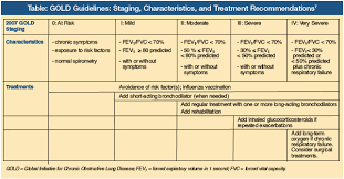Image result for COPD Staging
