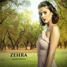 Baş roller nare ve sancar karakterlerine hayat verecek oyuncular 16 aralık da ilk bölümü ile izleyici karşısına çıkacak serefin kızı dizisi tüm oyuncuları şöyledir Star Tv Nin Yeni Dizisi Sefirin Kizi Nda Kim Kimdir Karakter Analizi Magazin Haberleri Ntv