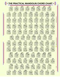 Amazon Com The Practical Guitar Chord And Fret Board Chart
