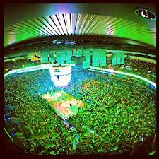 Pin On Boston Celtics