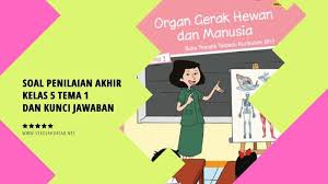 We did not find results for: Soal Pas Penilaian Akhir Semester 1 Kelas 5 Tema 1 Dan Kunci Jawabannya Sekolahdasar Net
