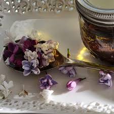 Image result for Fadogia ancylantha