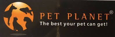 Maybe you would like to learn more about one of these? Persian Cat Pet Shop Near Me Cat Pet Shop Persian Cat Pet Shop