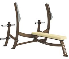 Flat Weight Training Bench Free Weights Cybex With Barbell Rack