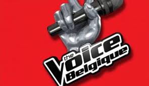 Pour l'occasion, l'émission retrouvera trois coachs de l'année précédente, slimane, vitaa et matthew irons, auxquels viendra s'ajouter typh barrow, chanteuse et compositrice belge, qui remplacera. Les Nouveaux Coachs De The Voice Belgique Loic Nottet Bj Scott Typh Barrow Henri Pfr Video Dailymotion