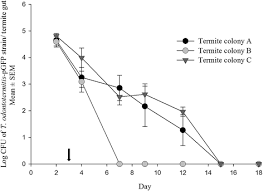 Baton rouge pest control from j&j exterminating. Assessment Of Genetically Engineered Trabulsiella Odontotermitis As A Trojan Horse For Paratransgenesis In Termites Bmc Microbiology Full Text