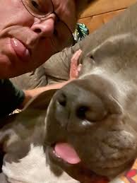 George update! He is slowly coming along. Everyday coming out of his shell  a little more. He is LOVING his toys ! Thank you to everyone who has  visited! I know its