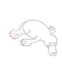 How To Draw A Platypus Draw Central Next, draw the platypus body. how to draw a platypus draw central