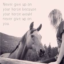 Never Give Up Horse Riding Quotes Horses Inspirational Horse Quotes