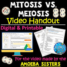 Some of the worksheets displayed are amoeba sisters video recap, amoeba sisters meiosis answer key pdf, amoeba sisters video recap introduction to cells. Mitosis Vs Meiosis Video Handout For Video Made By The Amoeba Sisters