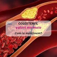 Valori normale colesterol seric total. Valori Normale Colesterol Cum Le MenÈ›inem Servus Expert