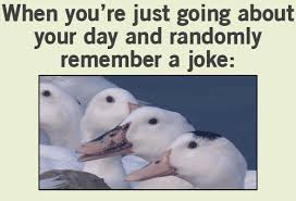 Gif Jokes Www Gifs Gif Com Funny Funny Pictures Make Me Laugh