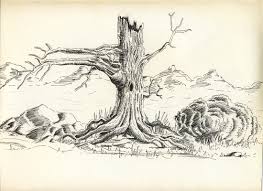 The values fall from 1 to 100 and appear to make no sense at all. Artstation 014 Old Drawings Dead Tree Madcarak Laurent Aubouy