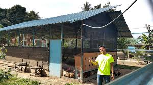 Reban Ayam Kampung