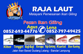Atau ingin tau jenis ikan laut untuk hiasan? Krtu Nama Raja Laut Copy Luckynetprint