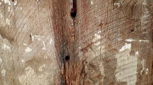 Maybe you would like to learn more about one of these? Design Build Services Nyc Residential Spaces Urban Homecraft