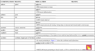 1 Basic Word Structure Basicmedical Key
