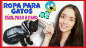 Ropa Para Gatos Pequenos Jigglypuff 3 0 Como Hacer Ropa Para Gatos Youtube