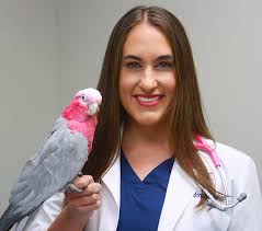 michelle bellville, dvm, winter park