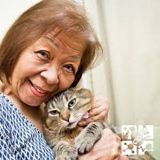 OVC Veterinary Clinical Trials (@ovcclintrials) • Instagram photos and  videos