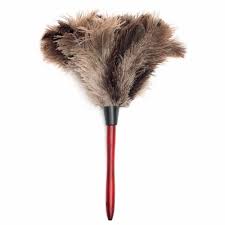 Providing you the best range of feather cleaning brush, carpet cleaning brush and toilet cleaning brush with effective & timely delivery. Red And Brown Dust Cleaning Feather Brush Rs 155 Piece Tirupati Enterprises Id 19829724155