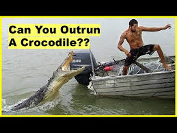 Crocodile - Swimming, Walking, Running | Britannica