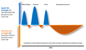 Ai un email de confirmare de la noi, cu informații esențiale despre abonament. Deficitul Caloric Cum Sa Setezi Cea Mai Buna Dieta De Slabit Pentru Tine