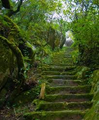 Green Stairs In Palacio Da Pena Park Sintra Beautiful Places To Visit Beautiful World Scenic