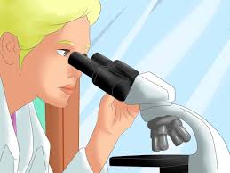 Maybe you would like to learn more about one of these? How To Tell The Difference Between Prokaryotes And Eukaryotes