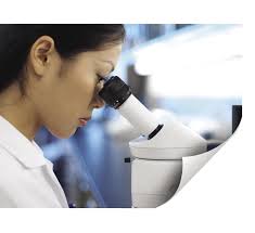 2010 Progress Report