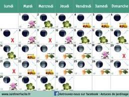 calendrier lunaire jardiner avec la lune de janvier 2019 calendrier lunaire calendrier lunaire jardin calendrier jardin