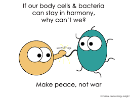 For My Medical Reblogs Immunology Body Cells Science Friday