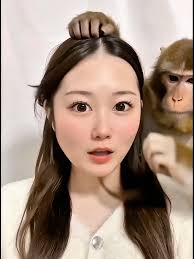 Ai エフェクトさる