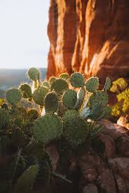 Narrow natural waterfall meandering down rocky course. 15 Jaw Dropping Hikes In Sedona To Make You Want To Move To The Desert The Mandagies