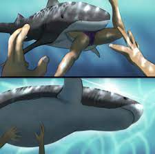 Free diving into jaws (shark/human vore) by Fischie -- Fur Affinity [dot]  net