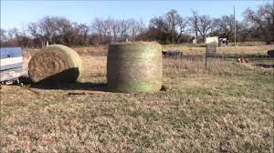 How To Move A Round Bale Of Hay Without A Tractor Hay Bales Tractors Hobby Farms
