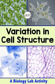 Biology Lab Variation In Cell Structure In 2020 Plant And Animal Cells Plant Cell Structure Biology Labs
