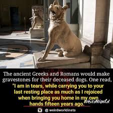 Pin By Farm Lady On Dyk Fur Friend Dog Days Cemeteries