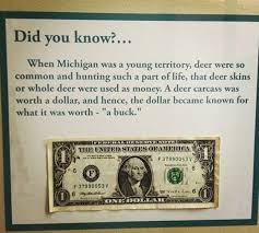 And That S How It Got Its Name Wtf Fun Facts Fun Facts Interesting Things