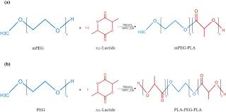 Peg is a coiled polymer of repeating ethylene ether units with dynamic conformations. Mpeg Pla And Pla Peg Pla Nanoparticles As New Carriers For Delivery Of Recombinant Human Growth Hormone Rhgh Scientific Reports