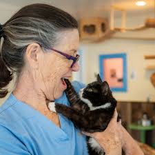 Linda Wilkinson's Instagram, Twitter & Facebook