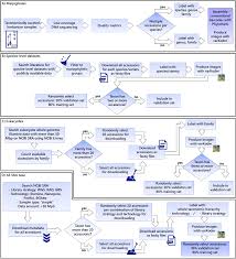 Image result for Triaspis hypericoides