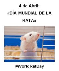Día Mundial de la Rata